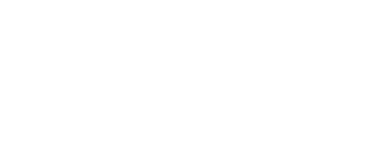 imaginis